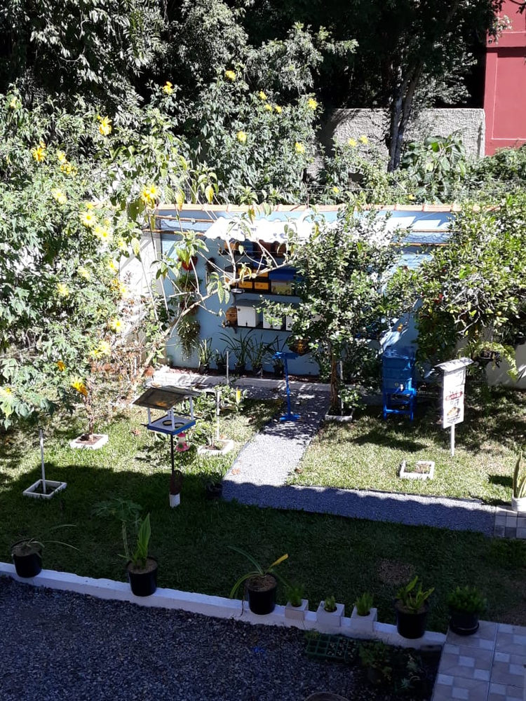 Foto 9 do Meliponário Nº 02 - Bairro São Lourenço, Curitiba/PR