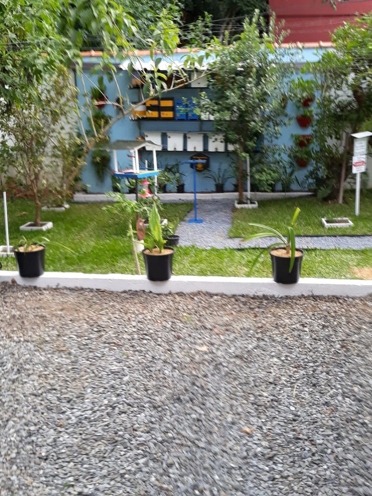 Foto 15 do Meliponário Nº 02 - Bairro São Lourenço, Curitiba/PR