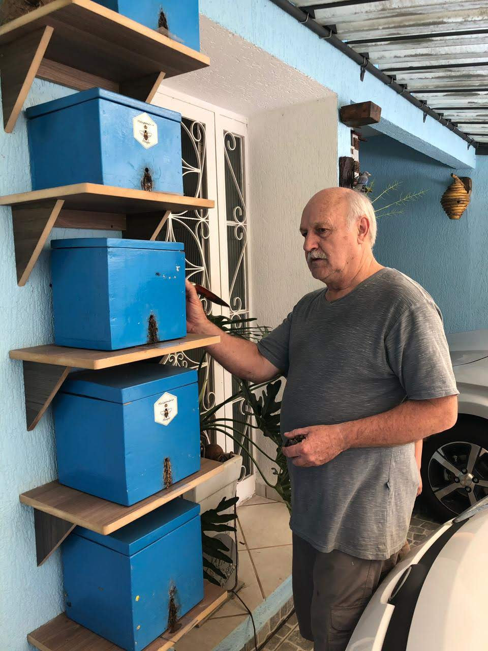 Meliponicultor da família Mayer manuseando uma colmeia de abelhas nativas sem ferrão