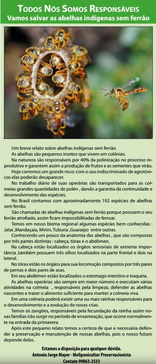Recorte de matéria do Jornal do Bairro Alto sobre o Meliponário Mayer