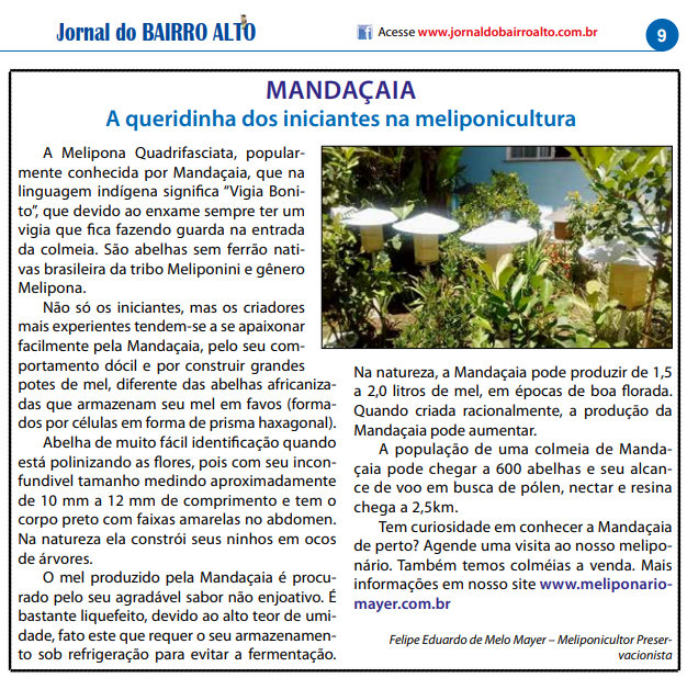 Recorte de matéria do Jornal do Bairro Alto sobre o Meliponário Mayer